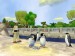 pohled na tučňáky